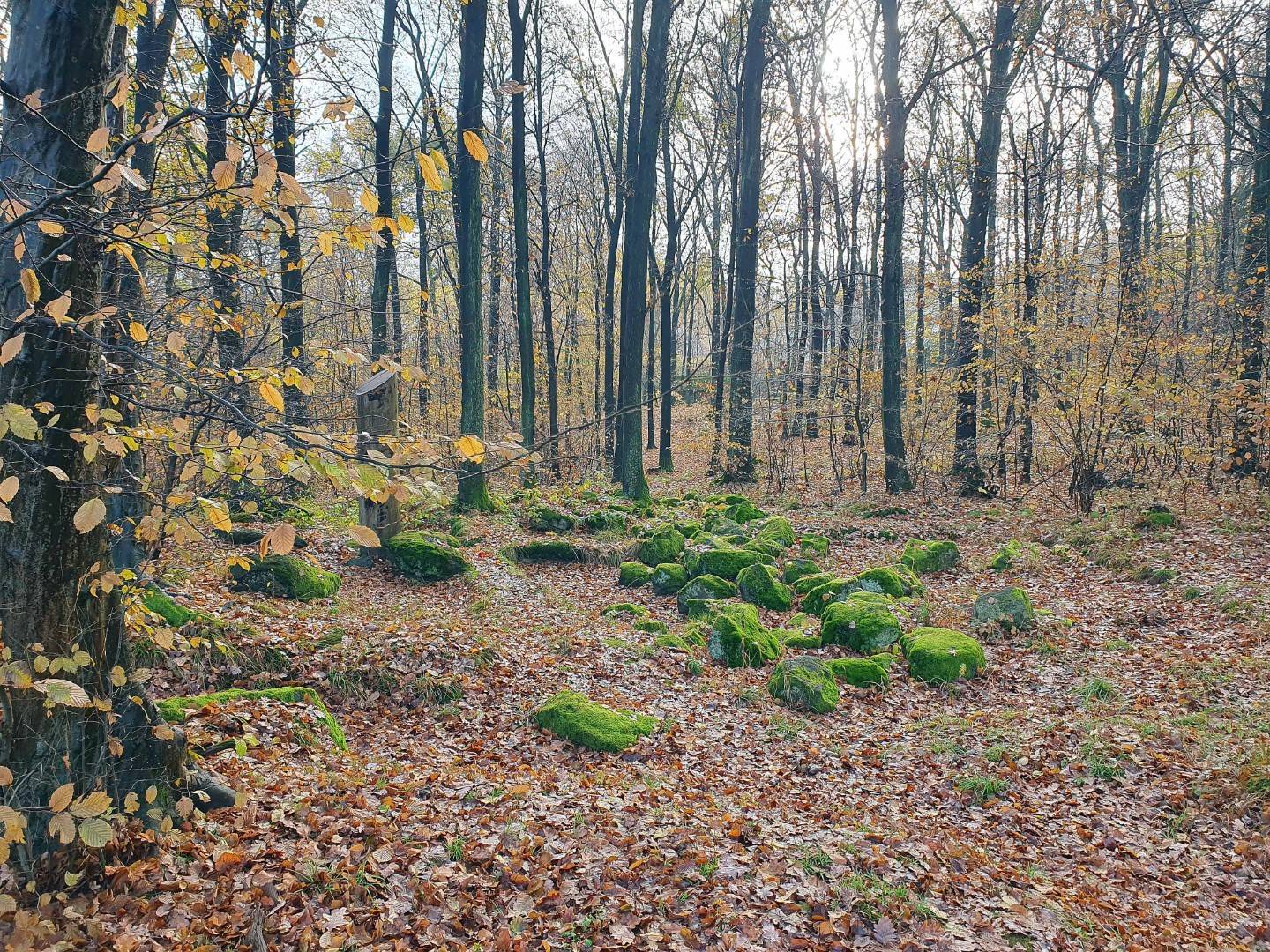 Zdjęcie 2