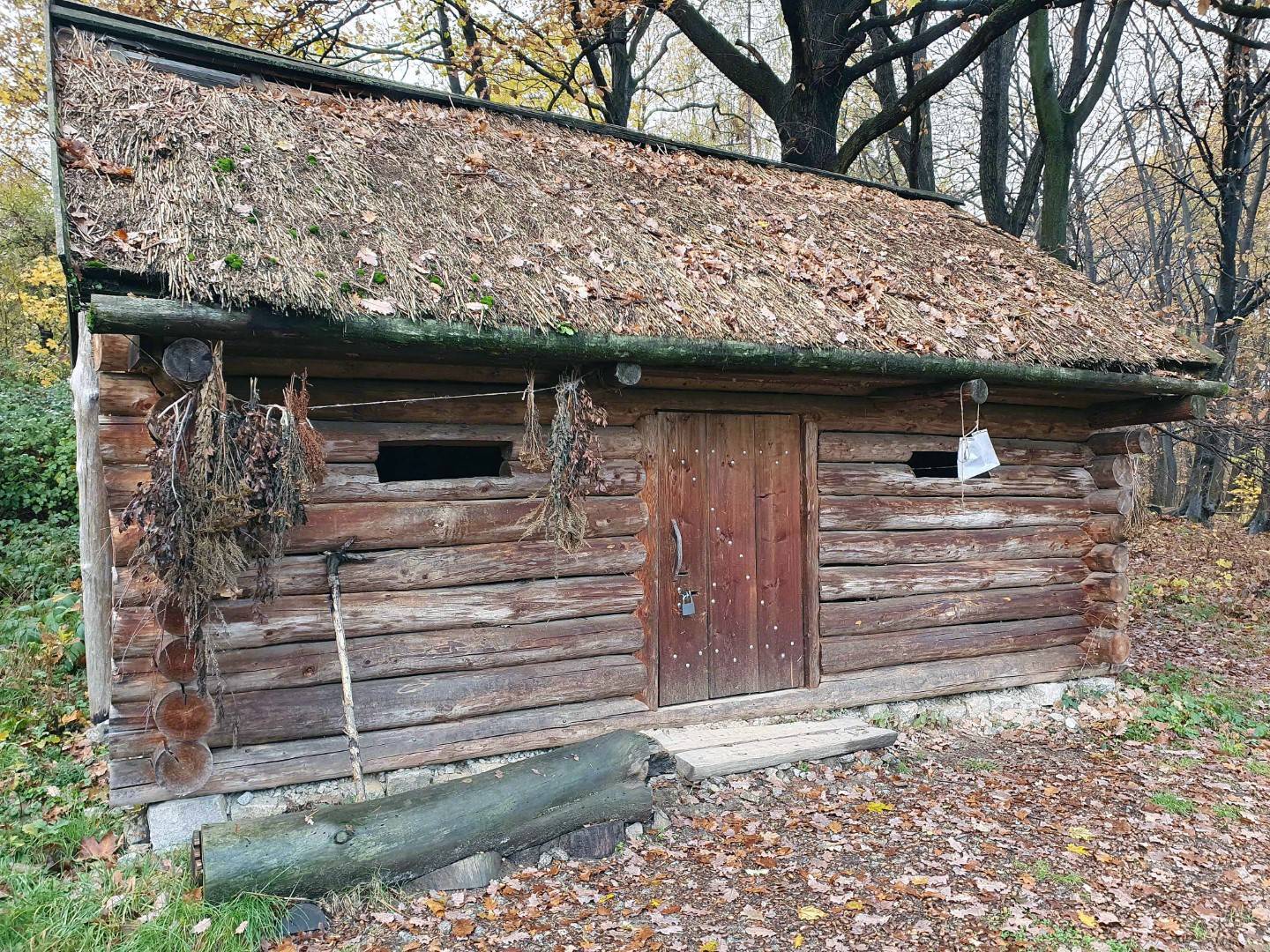 Zdjęcie 3