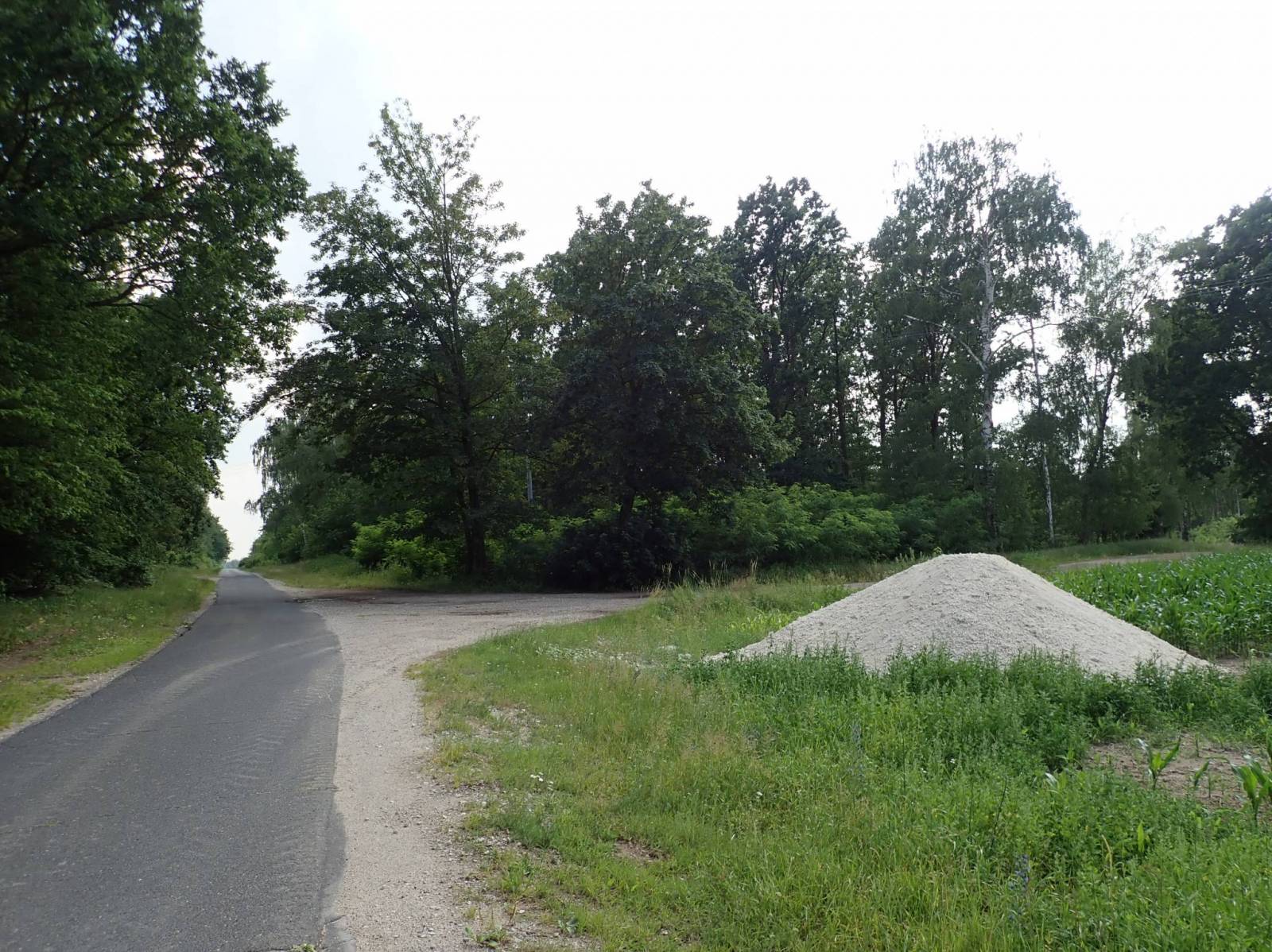 Zdjęcie 3