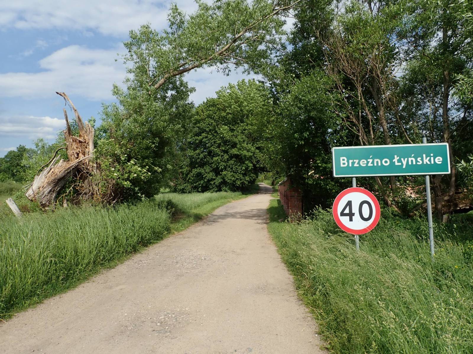 Zdjęcie 2