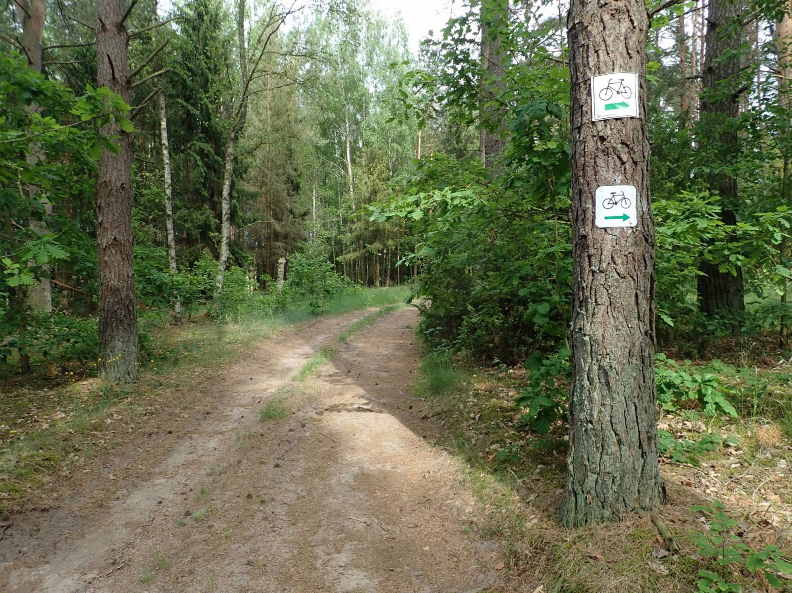 Zdjęcie 3