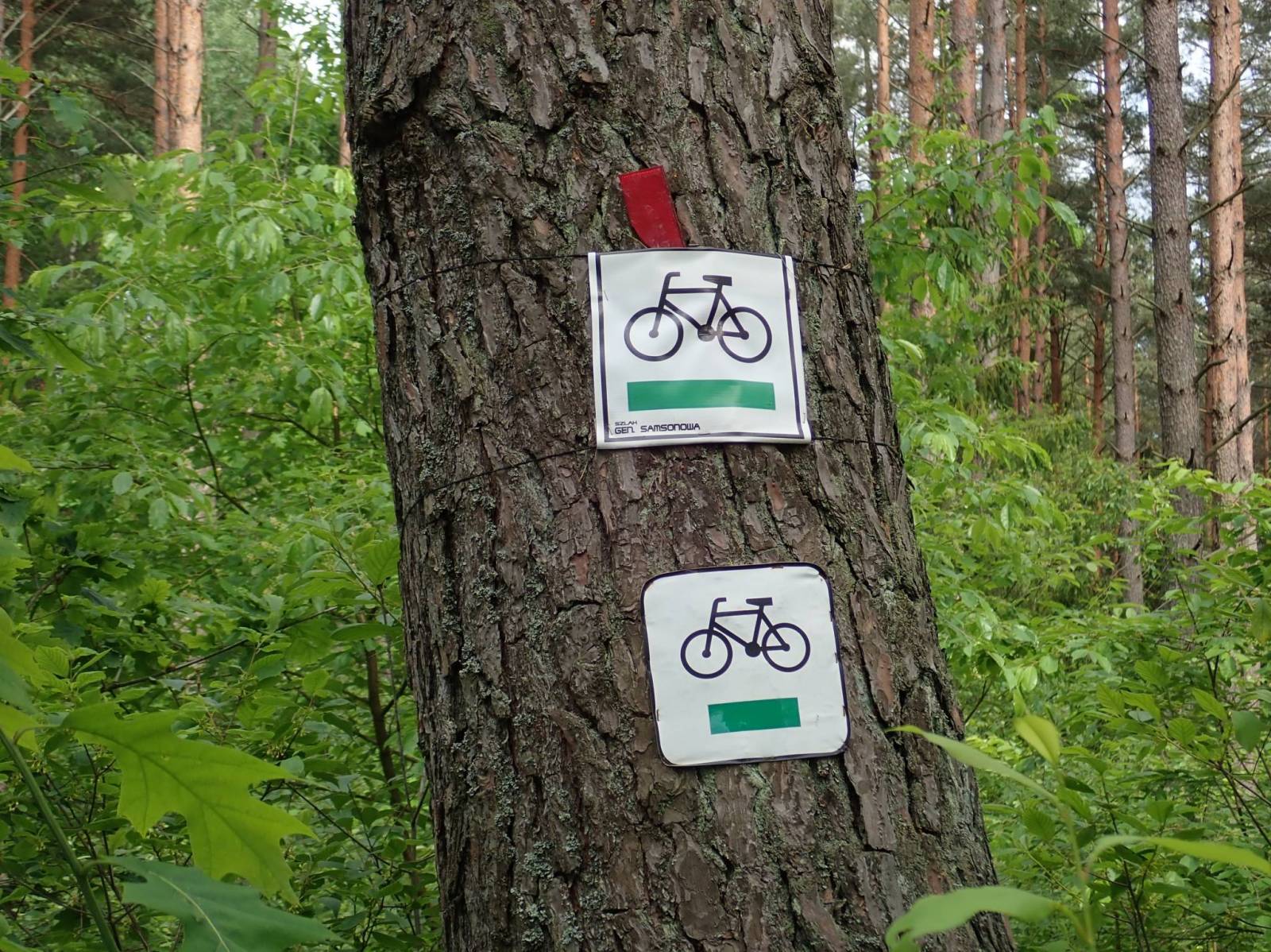 Zdjęcie 4