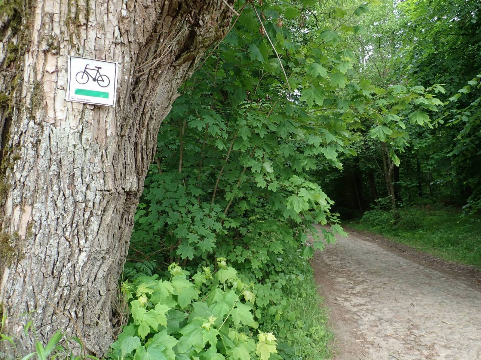 Zdjęcie 6