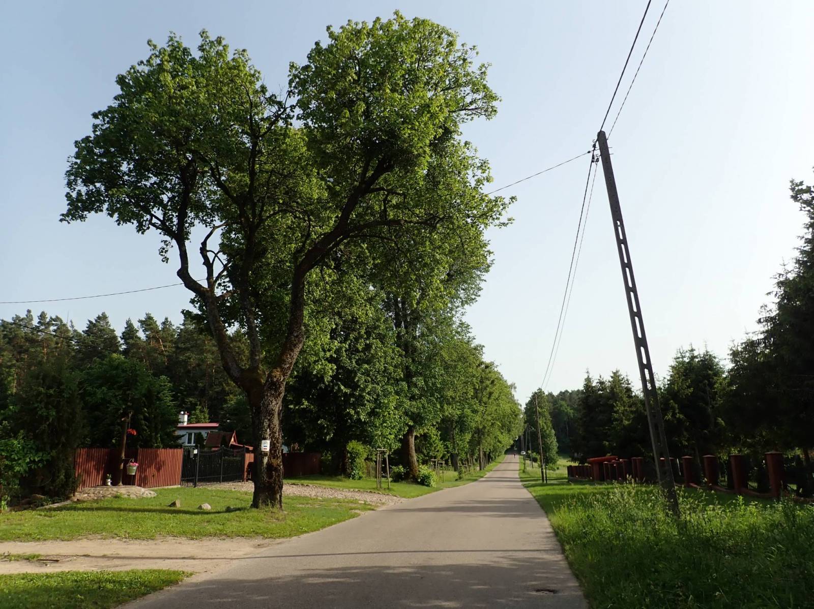 Zdjęcie 3