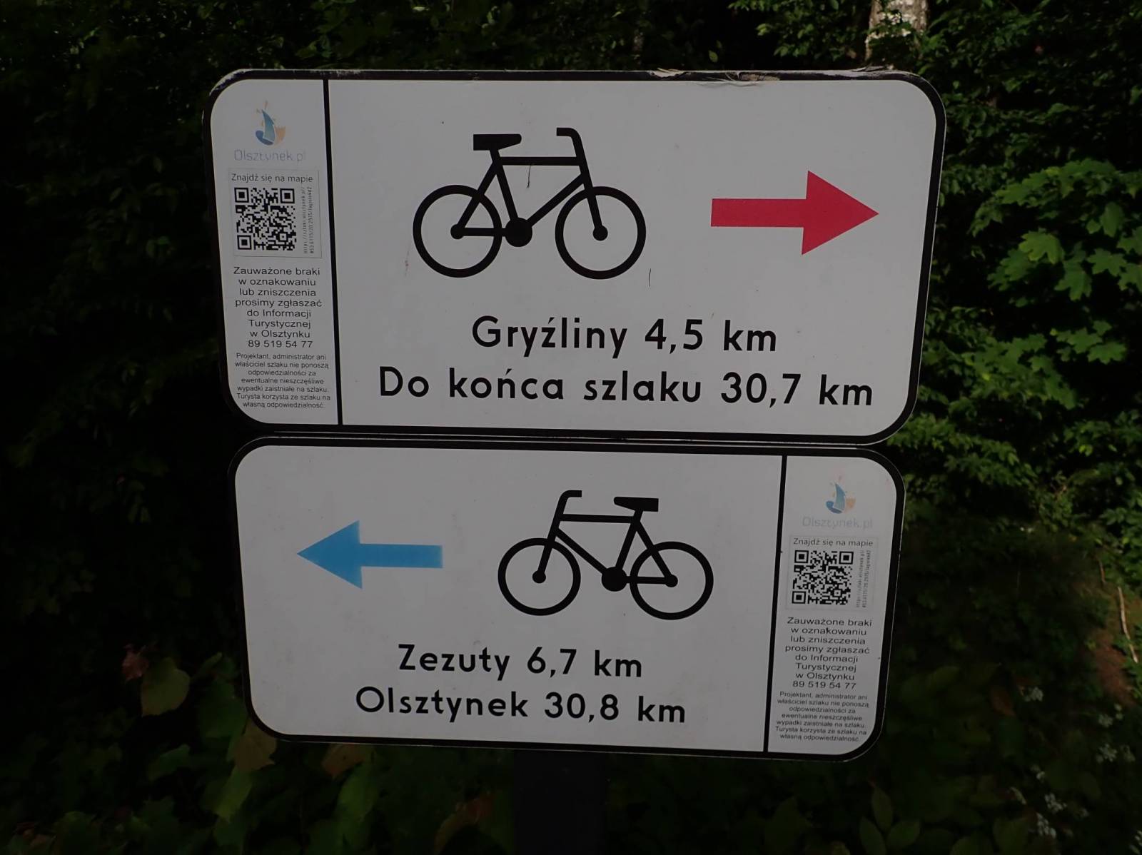Zdjęcie 6