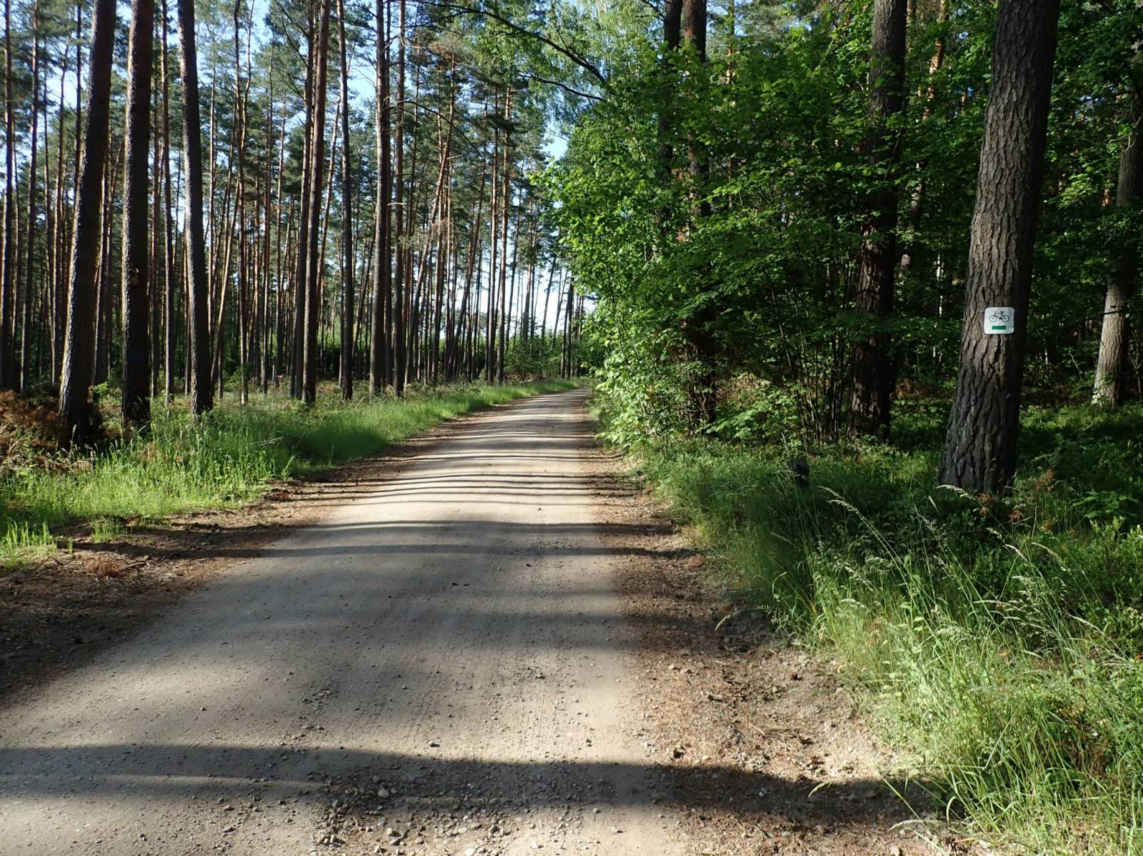 Zdjęcie 6