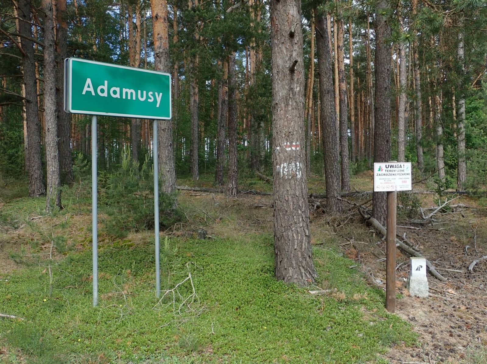 Zdjęcie 4
