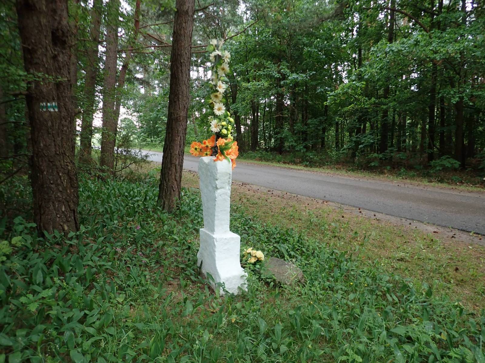 Zdjęcie 4