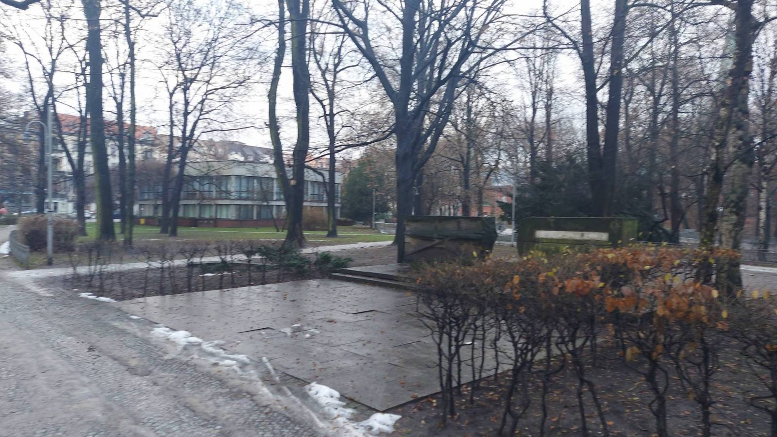 Zdjęcie 5