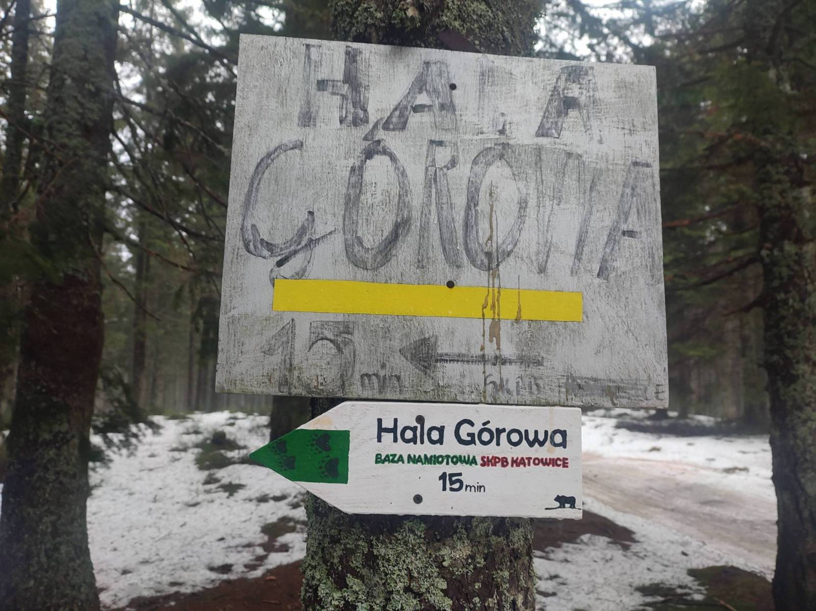 Zdjęcie 3
