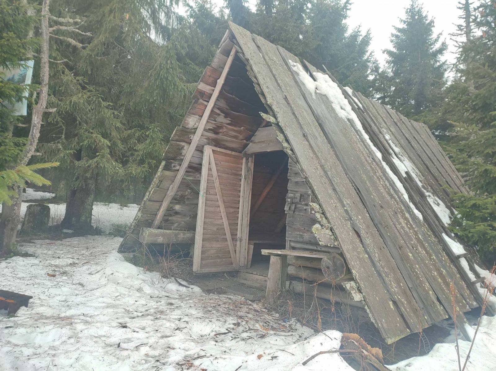 Zdjęcie 4