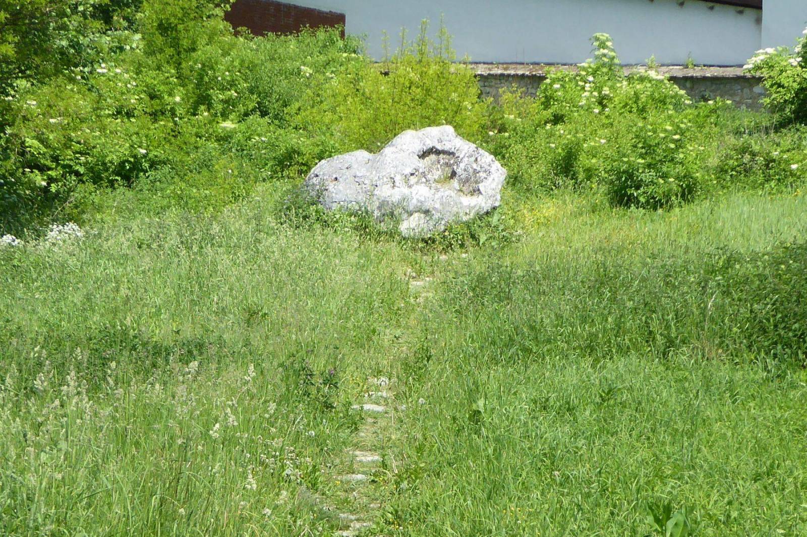 Zdjęcie 5