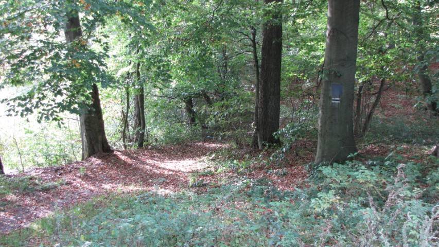Zdjęcie 6