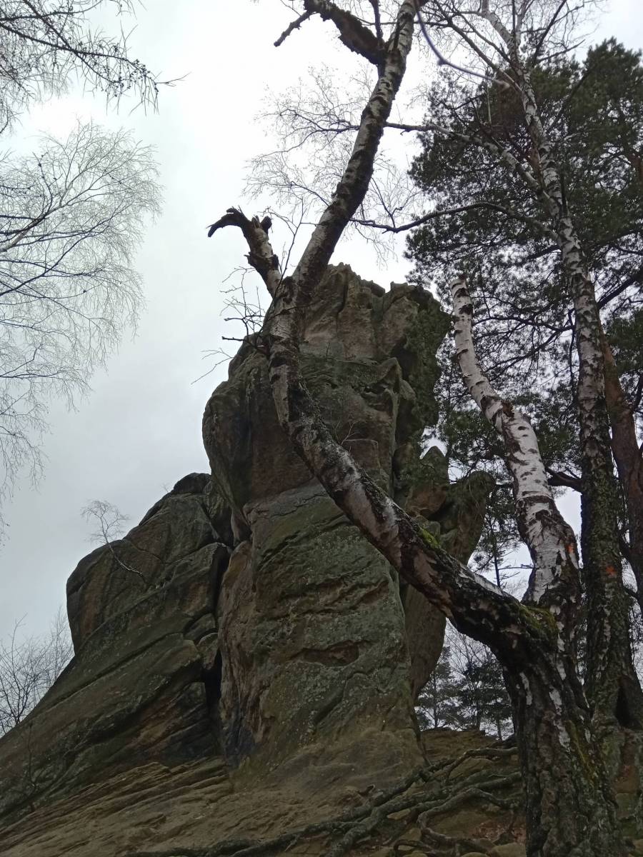 Zdjęcie 2