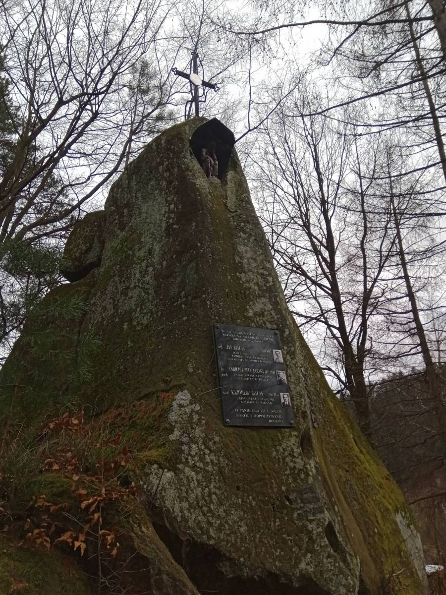 Zdjęcie 6
