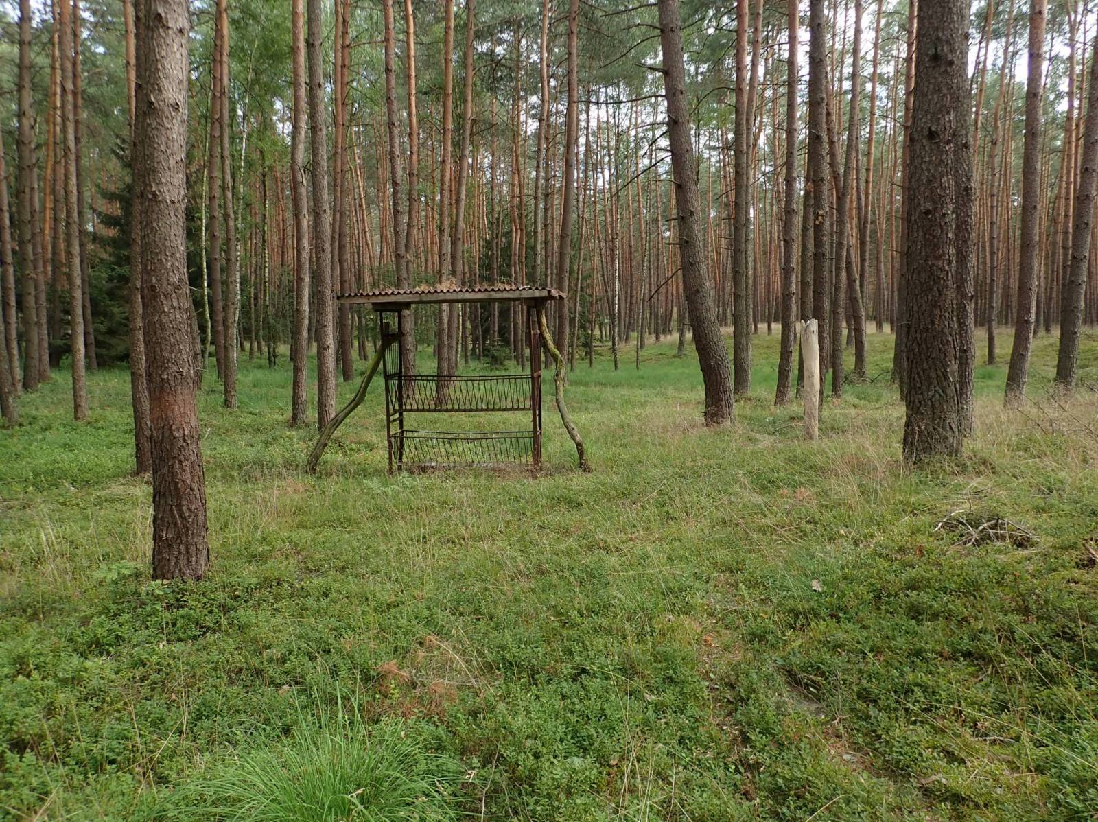 Zdjęcie 5