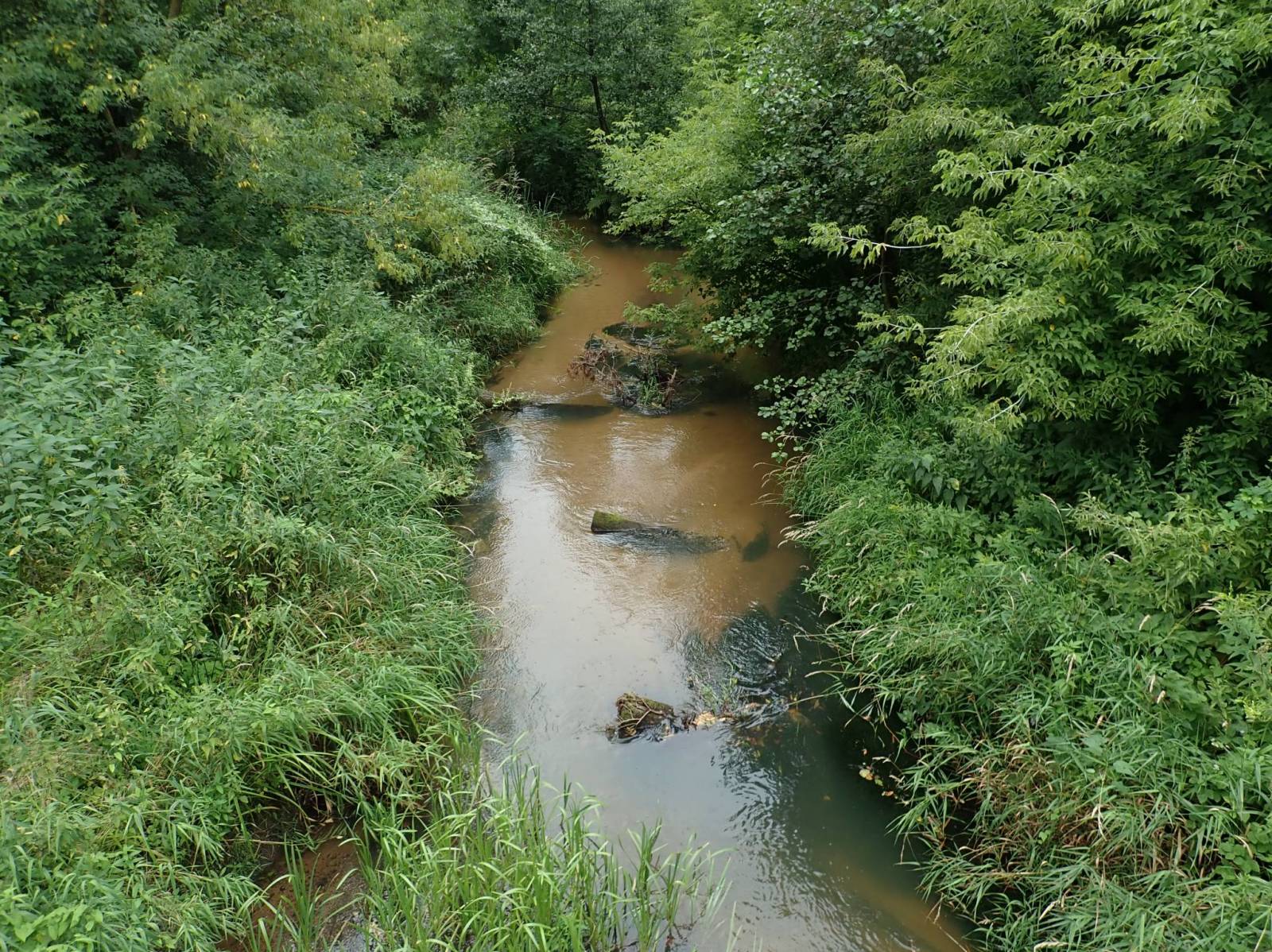 Zdjęcie 6