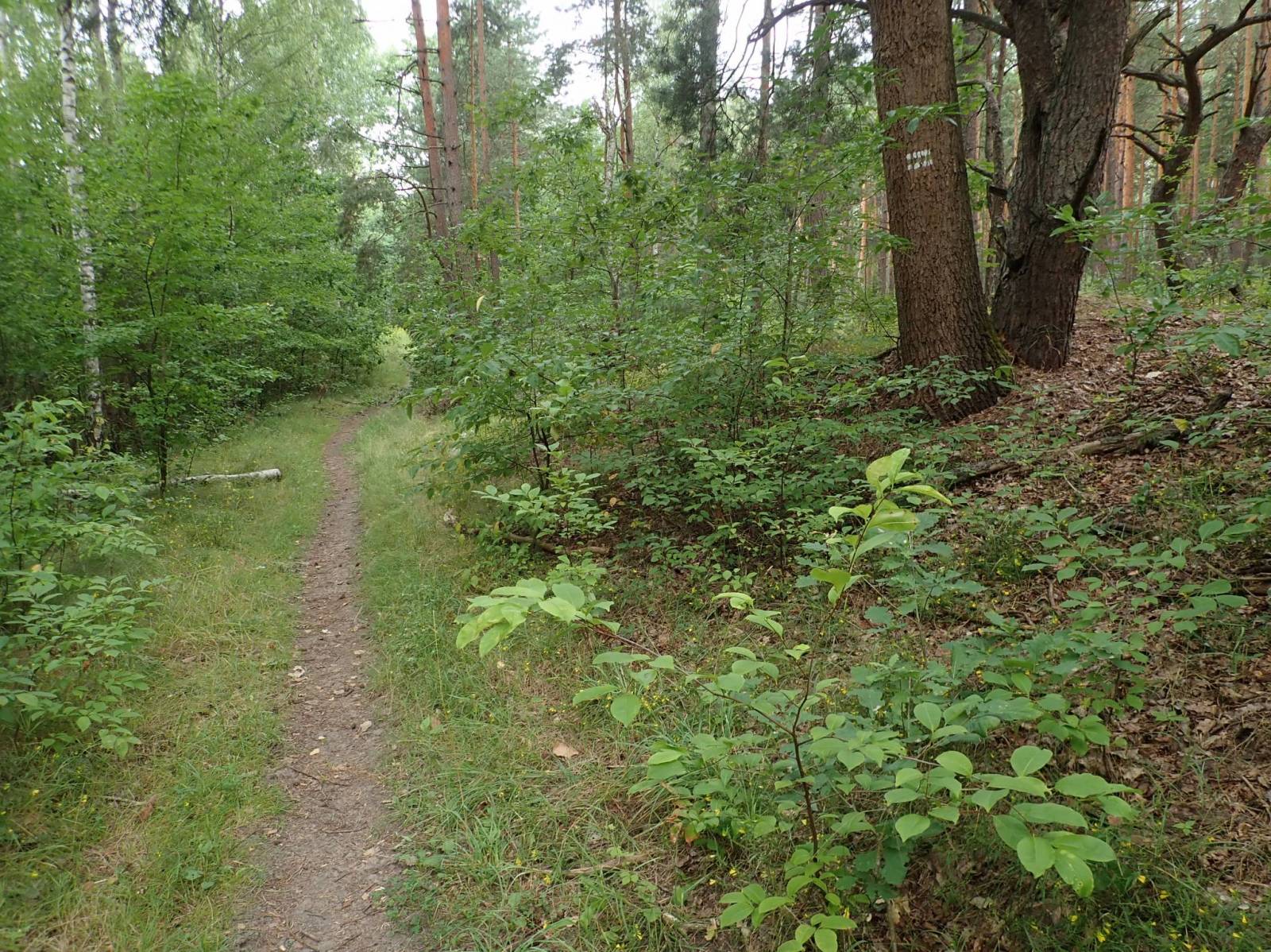 Zdjęcie 4