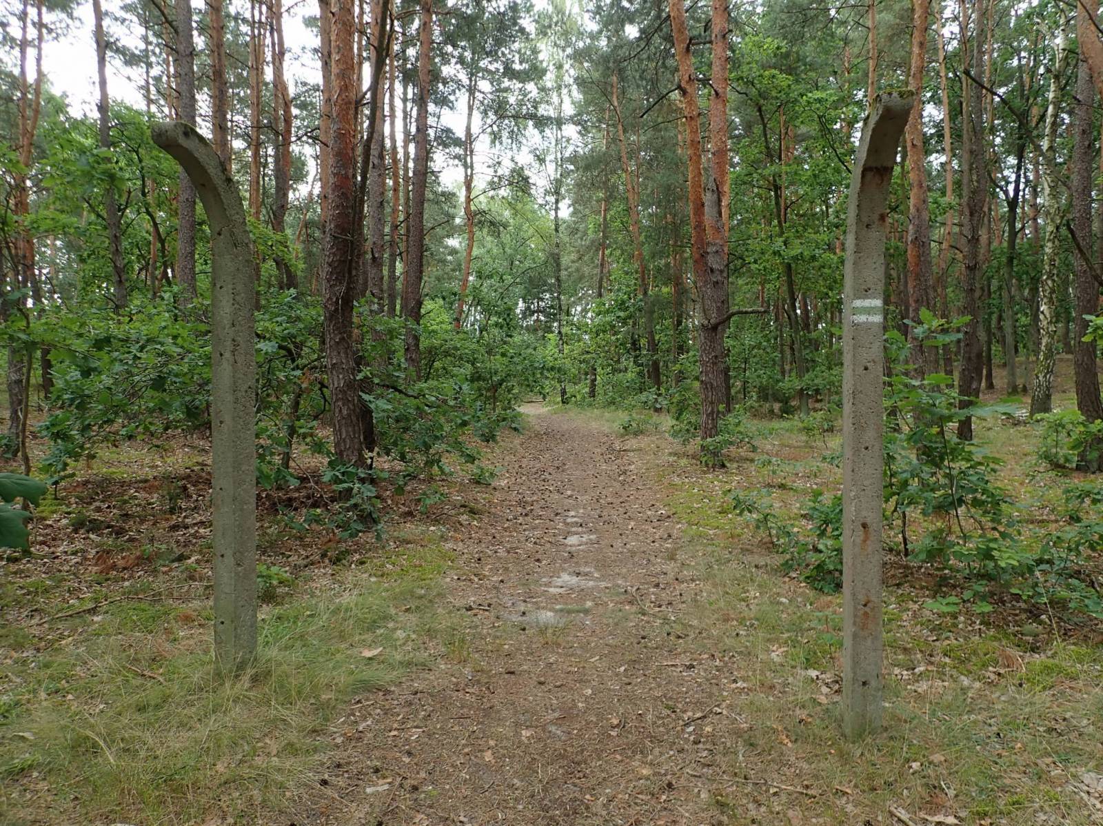 Zdjęcie 5