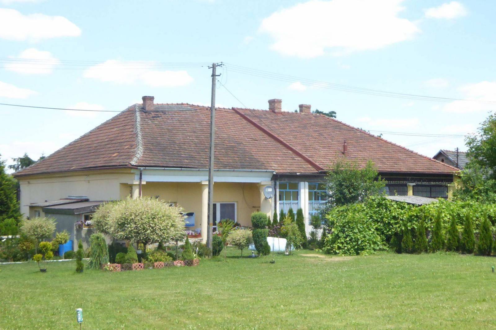 Zdjęcie 5