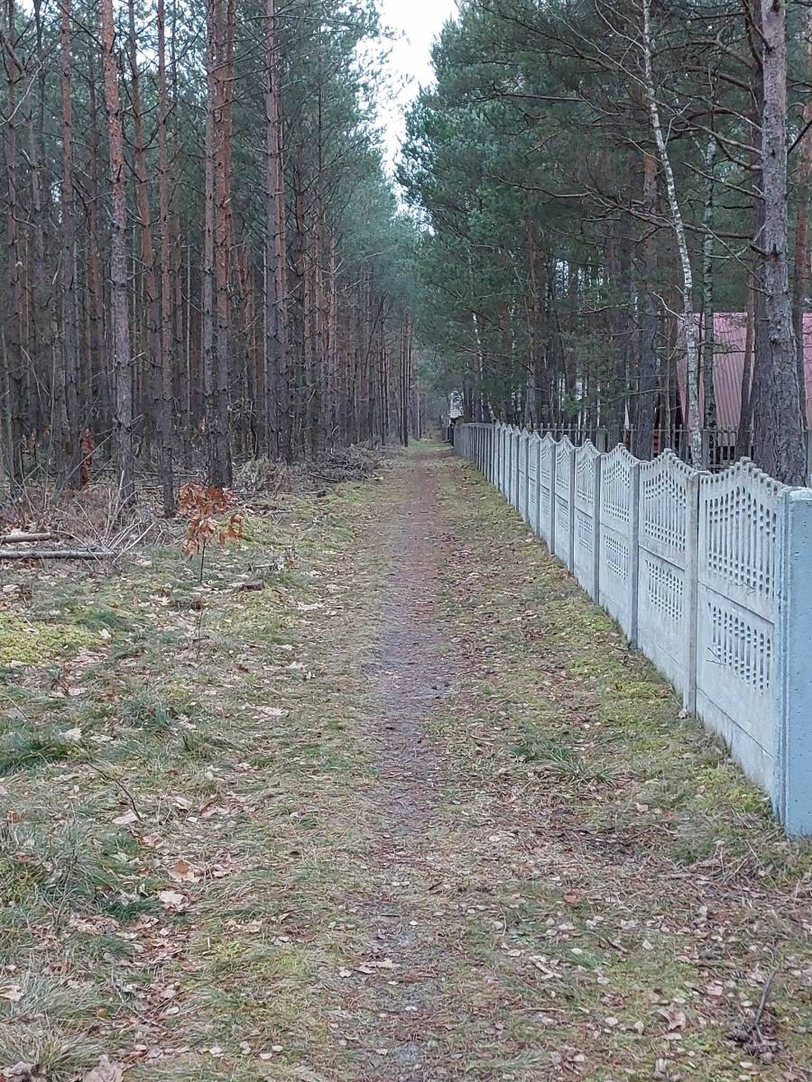 Zdjęcie 3