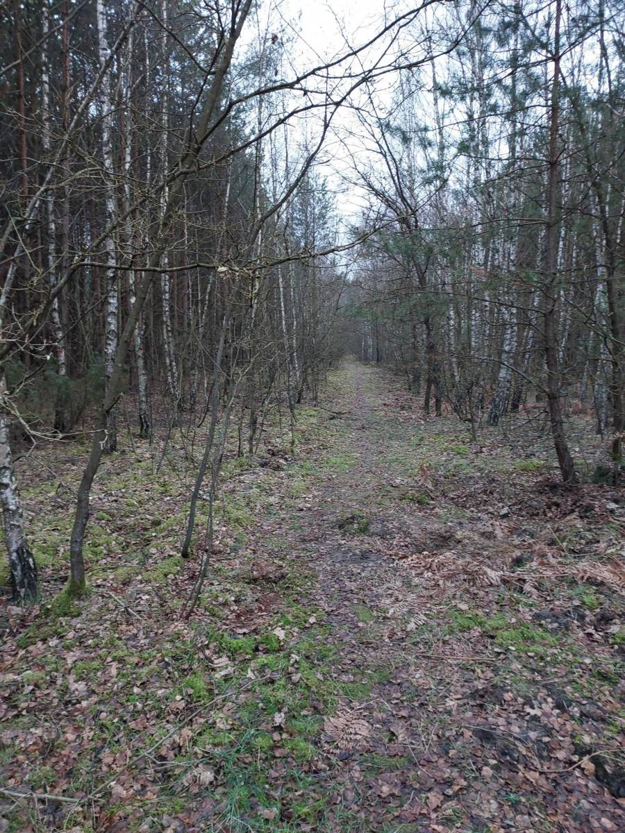 Zdjęcie 6