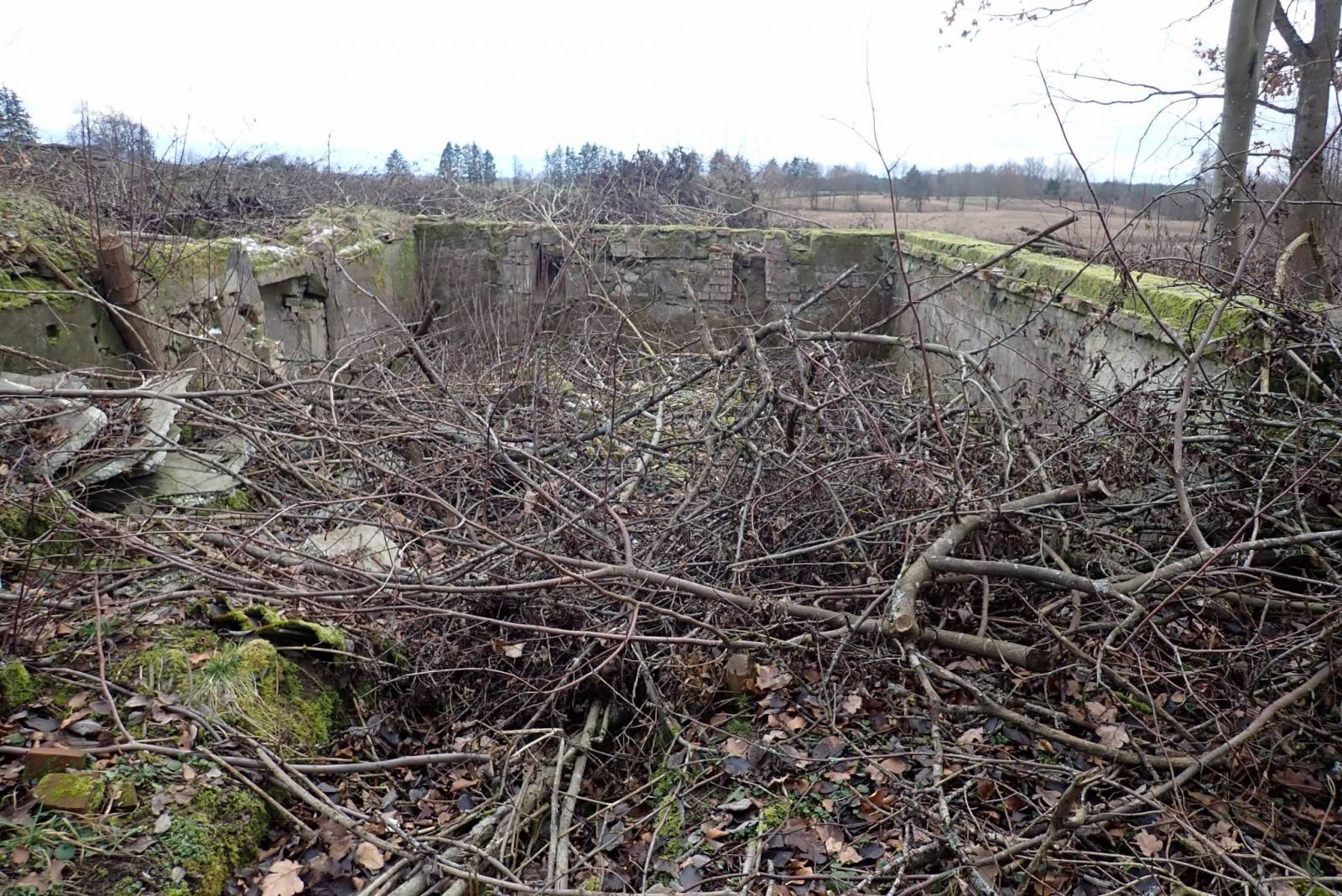 Zdjęcie 2