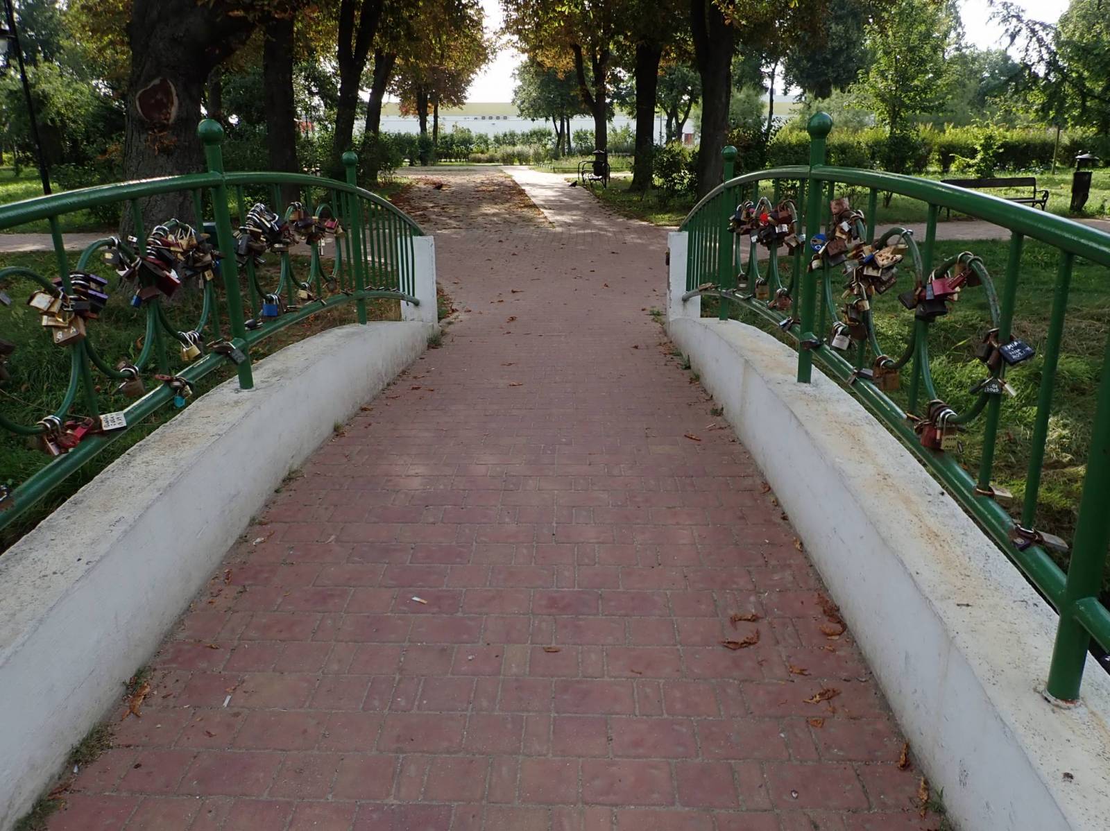 Zdjęcie 6