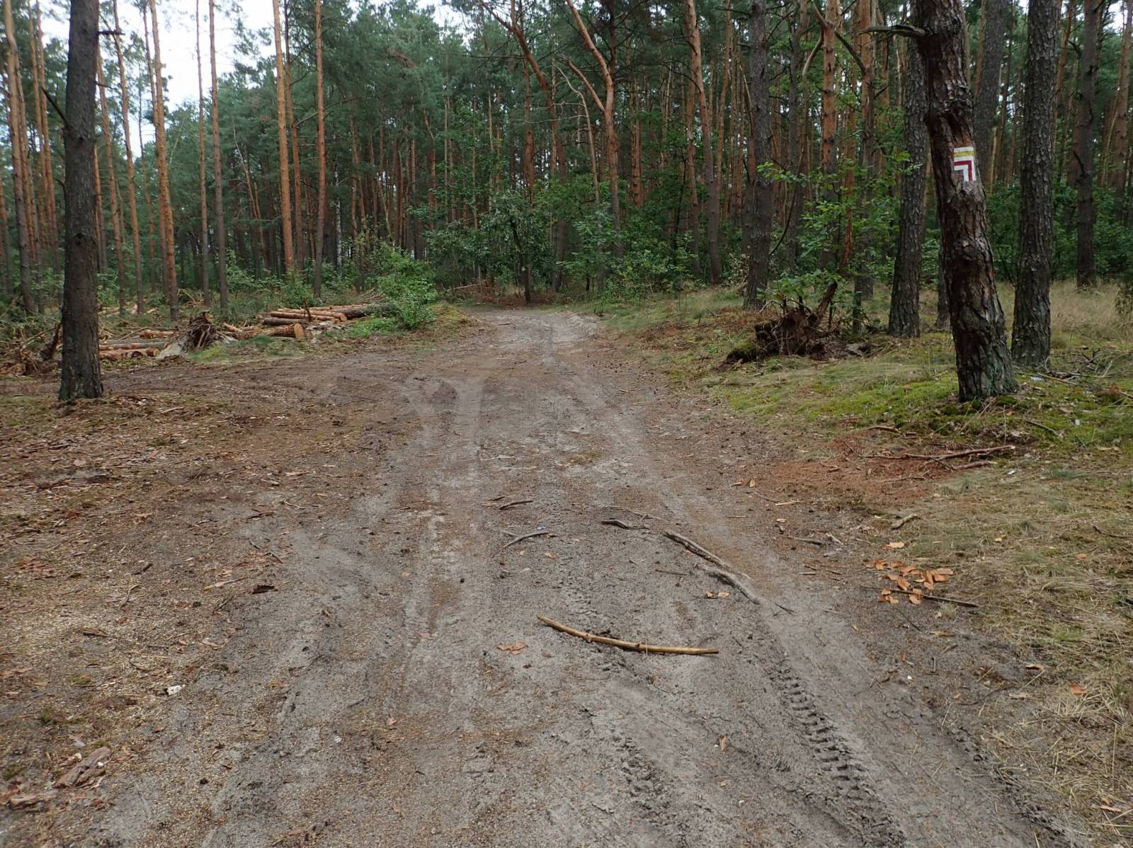 Zdjęcie 6