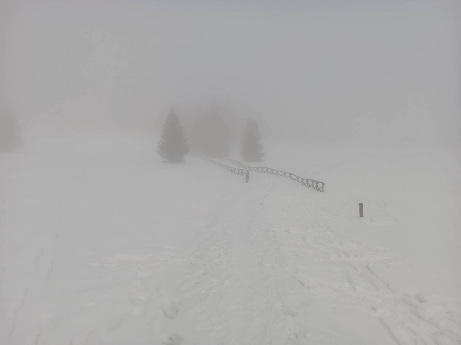 Zdjęcie 6