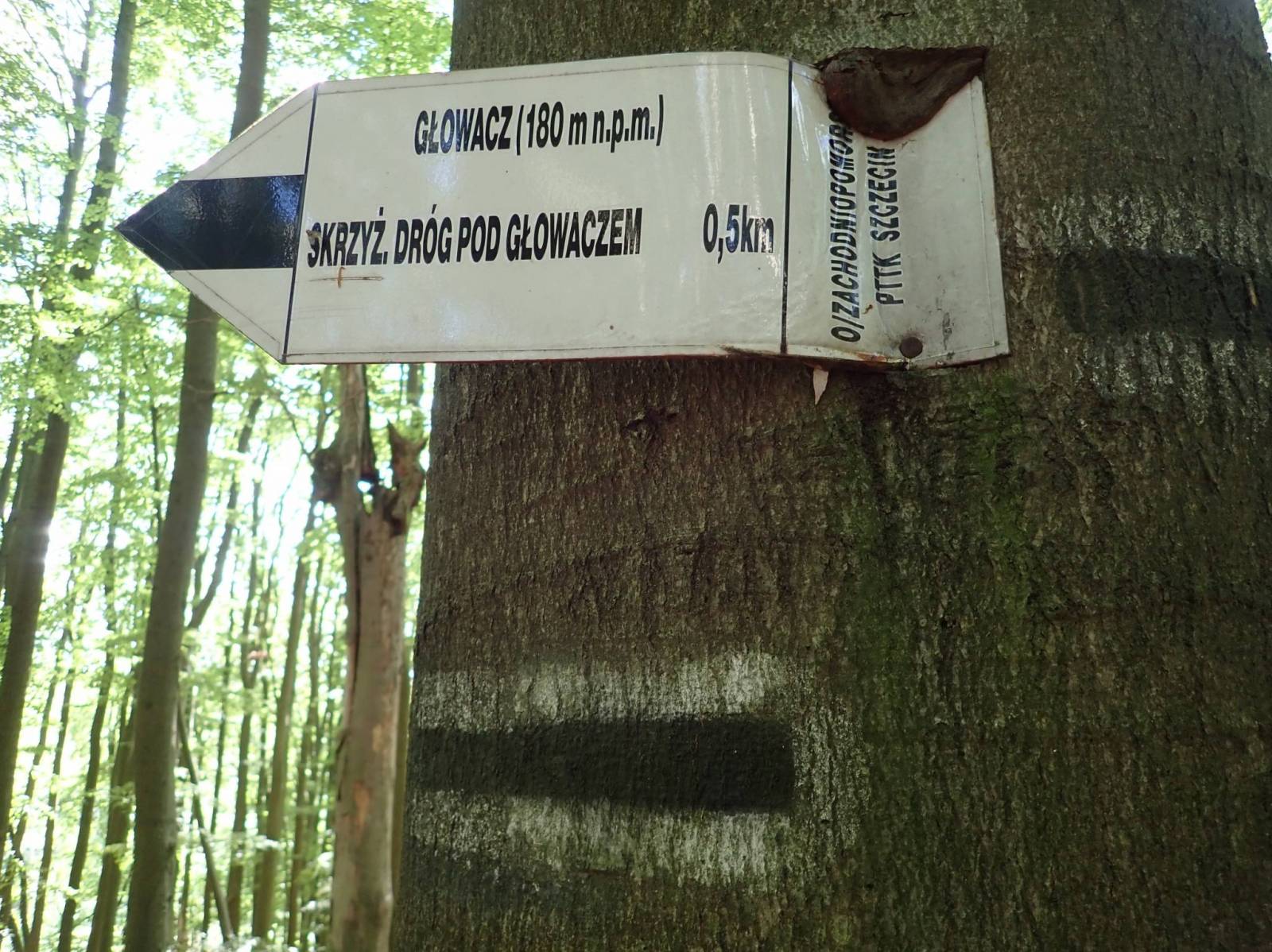 Zdjęcie 2