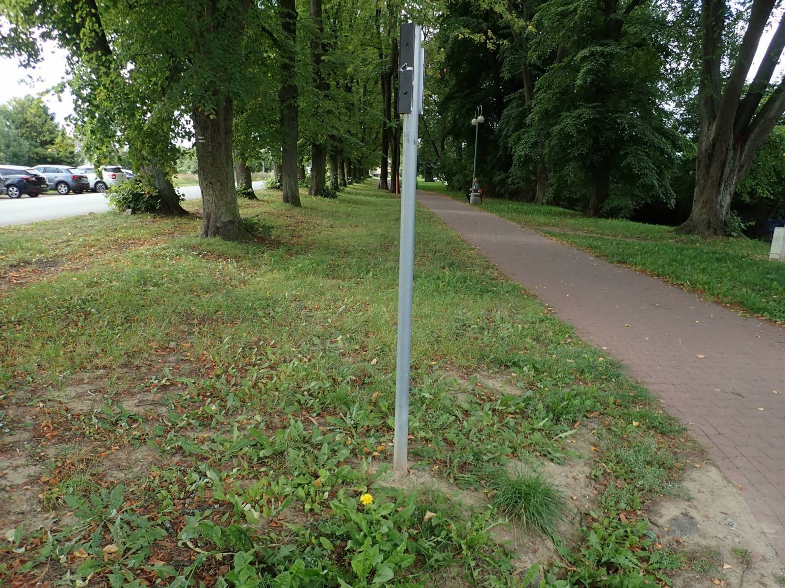 Zdjęcie 6