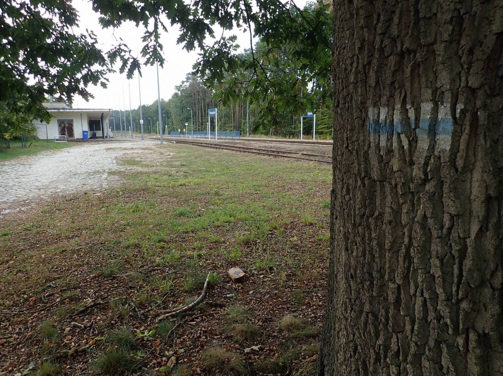Zdjęcie 4