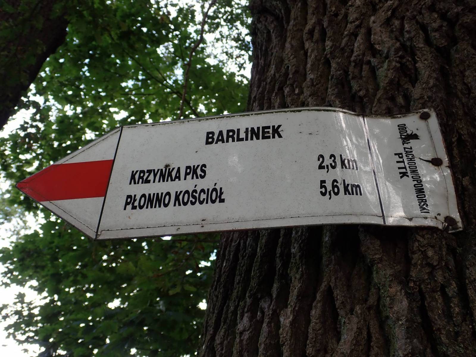 Zdjęcie 2