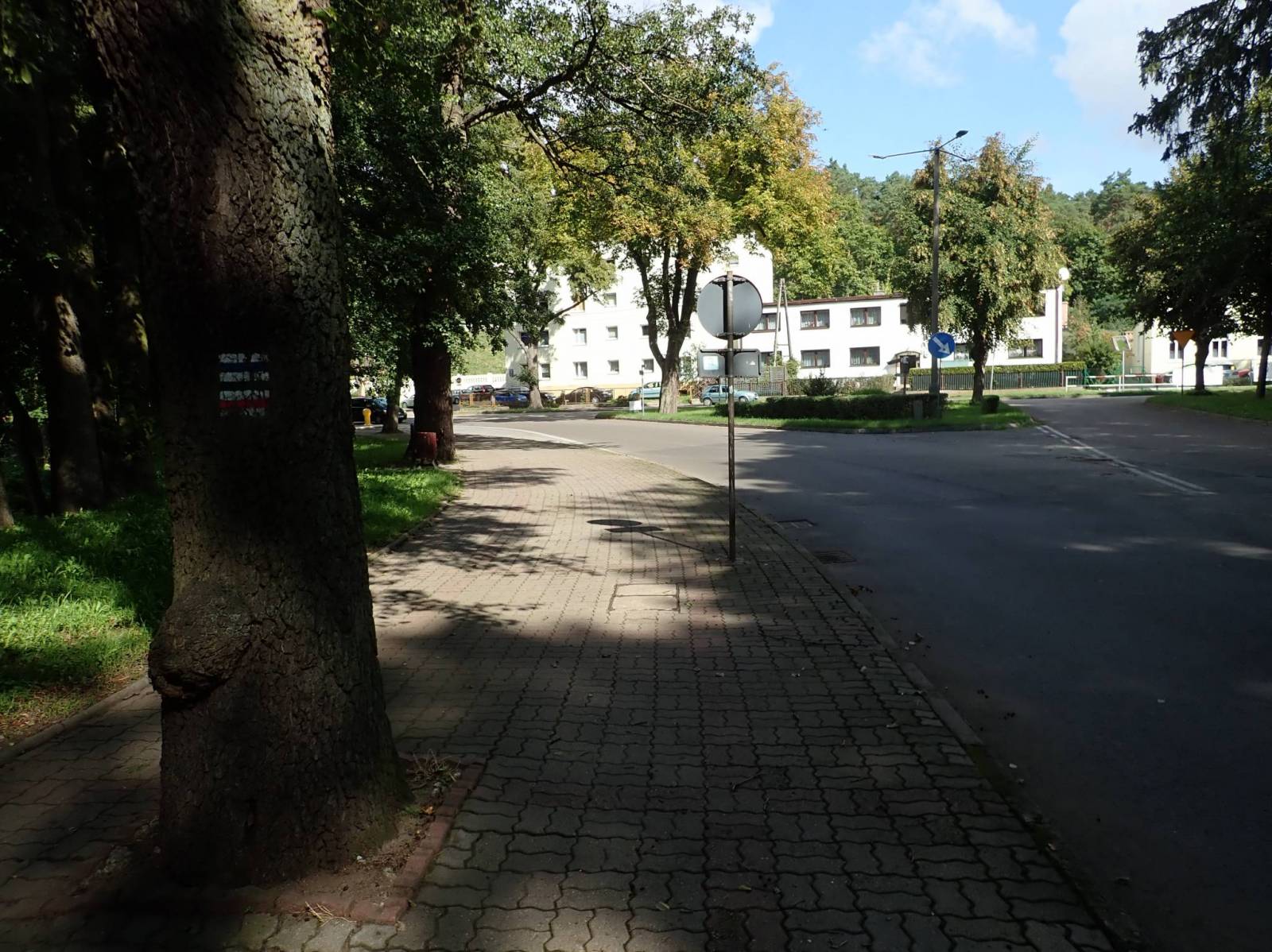 Zdjęcie 5
