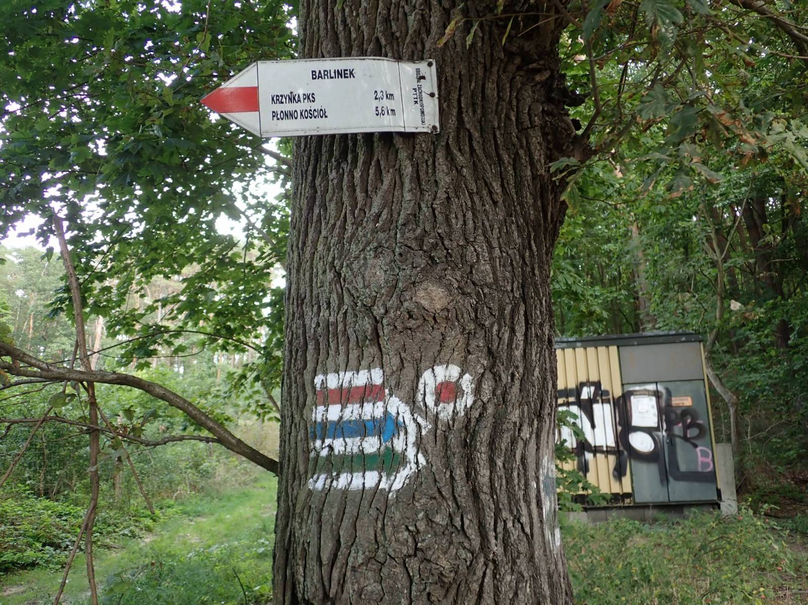 Zdjęcie 6