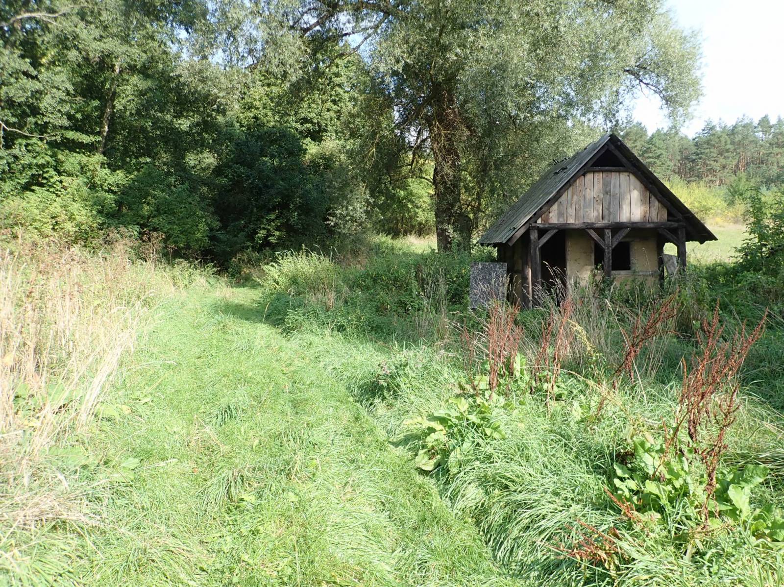 Zdjęcie 5