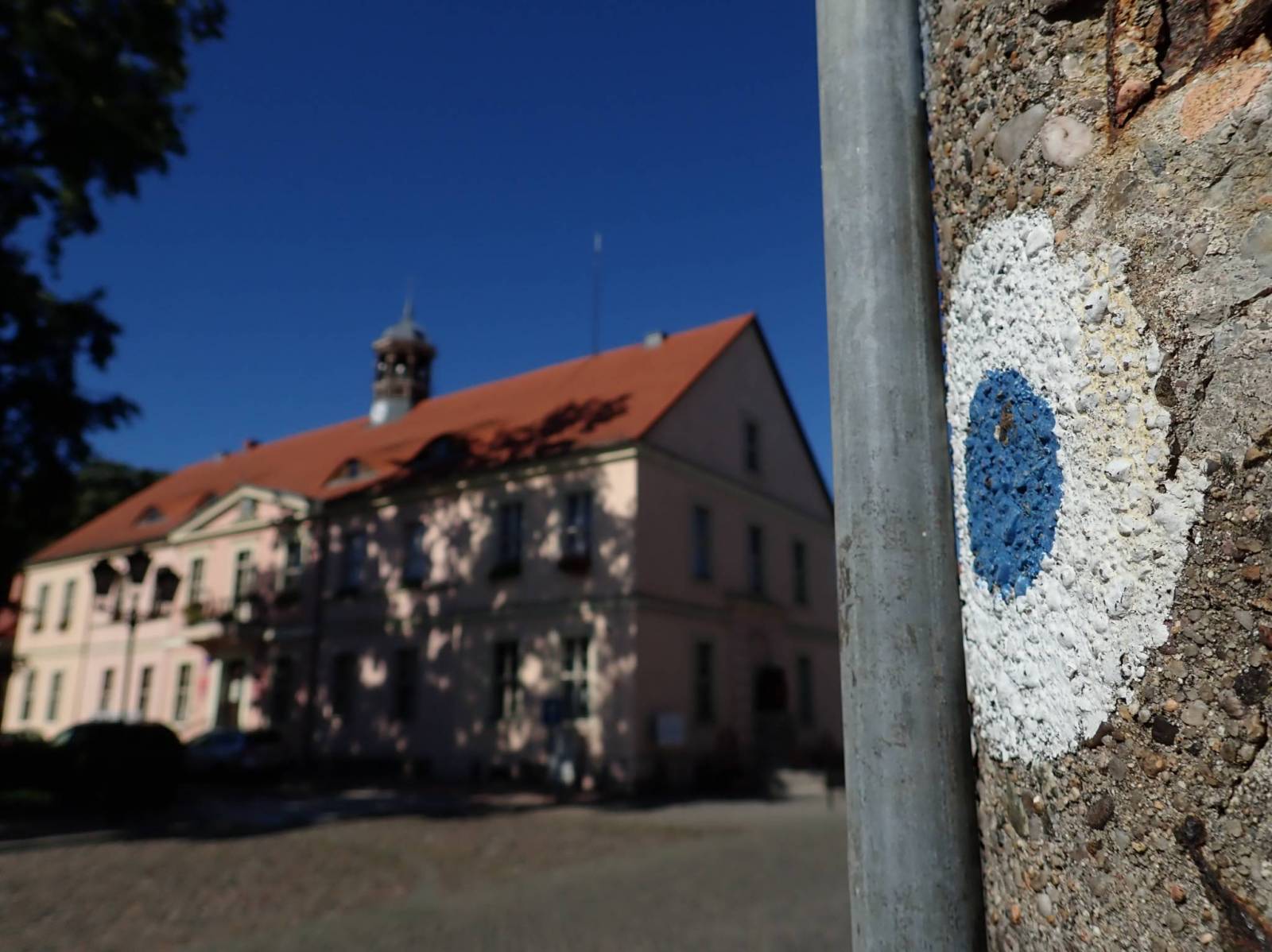 Zdjęcie 6