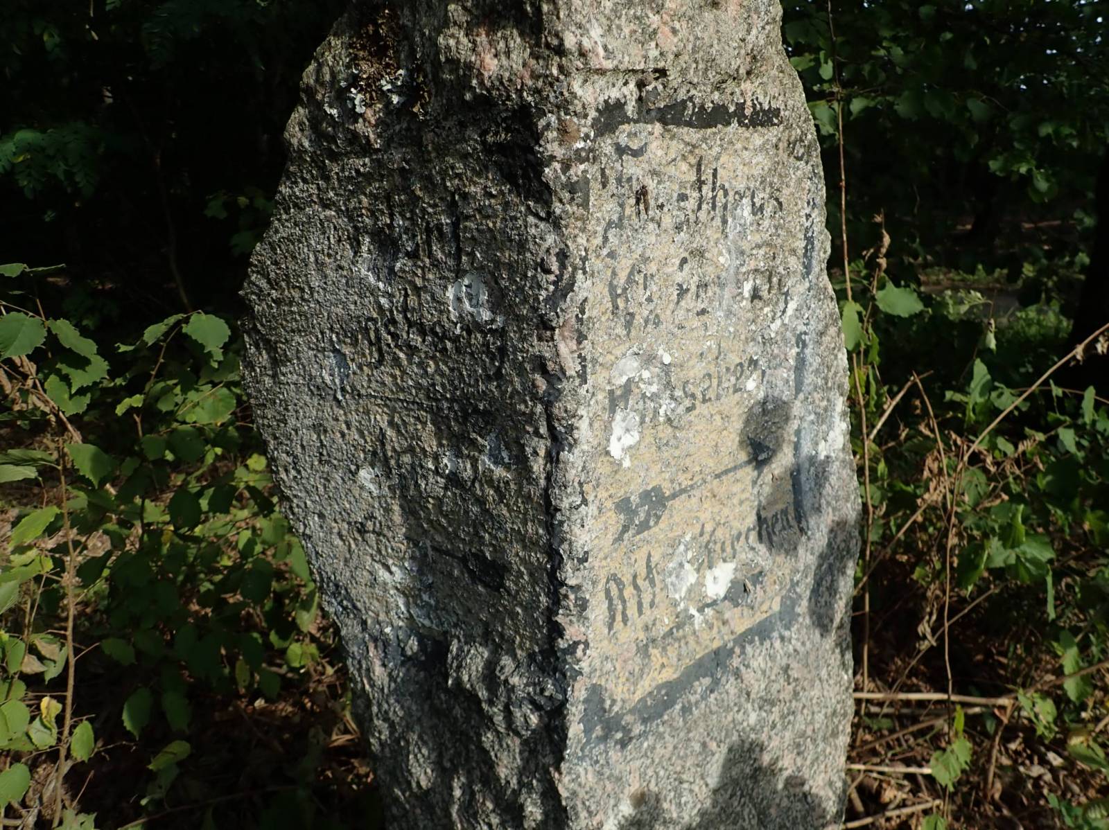 Zdjęcie 6