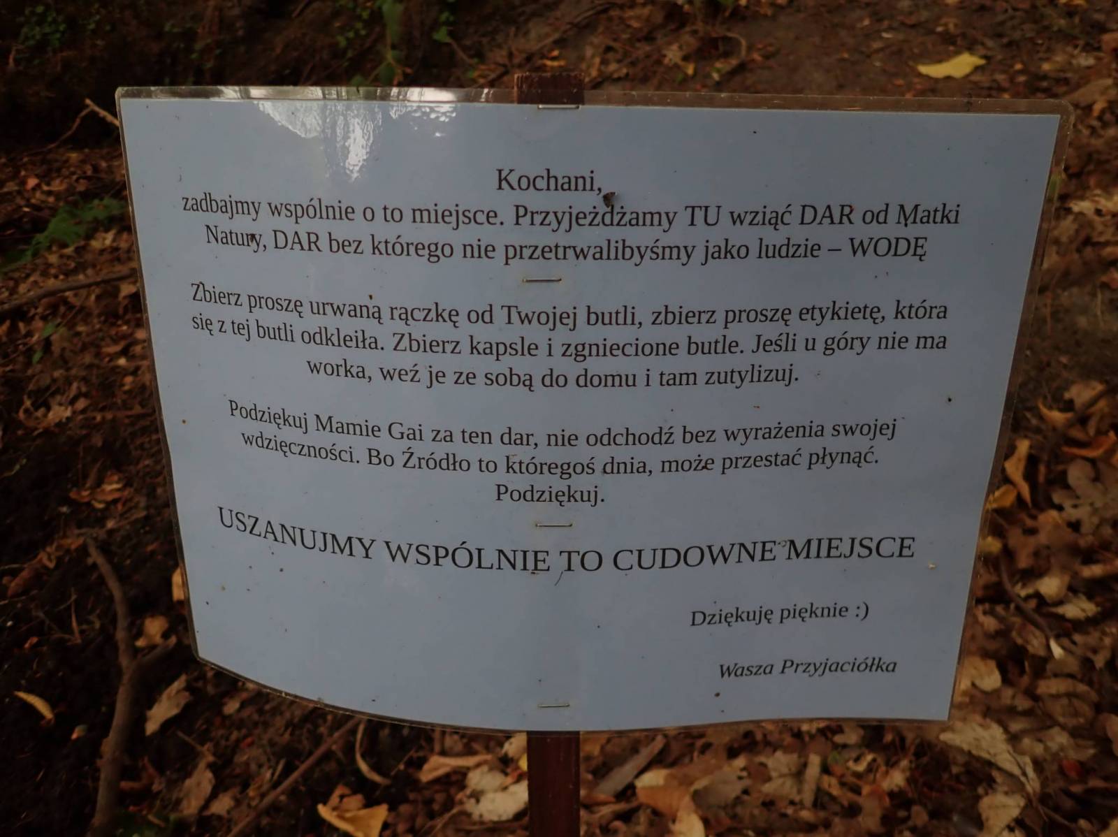 Zdjęcie 3