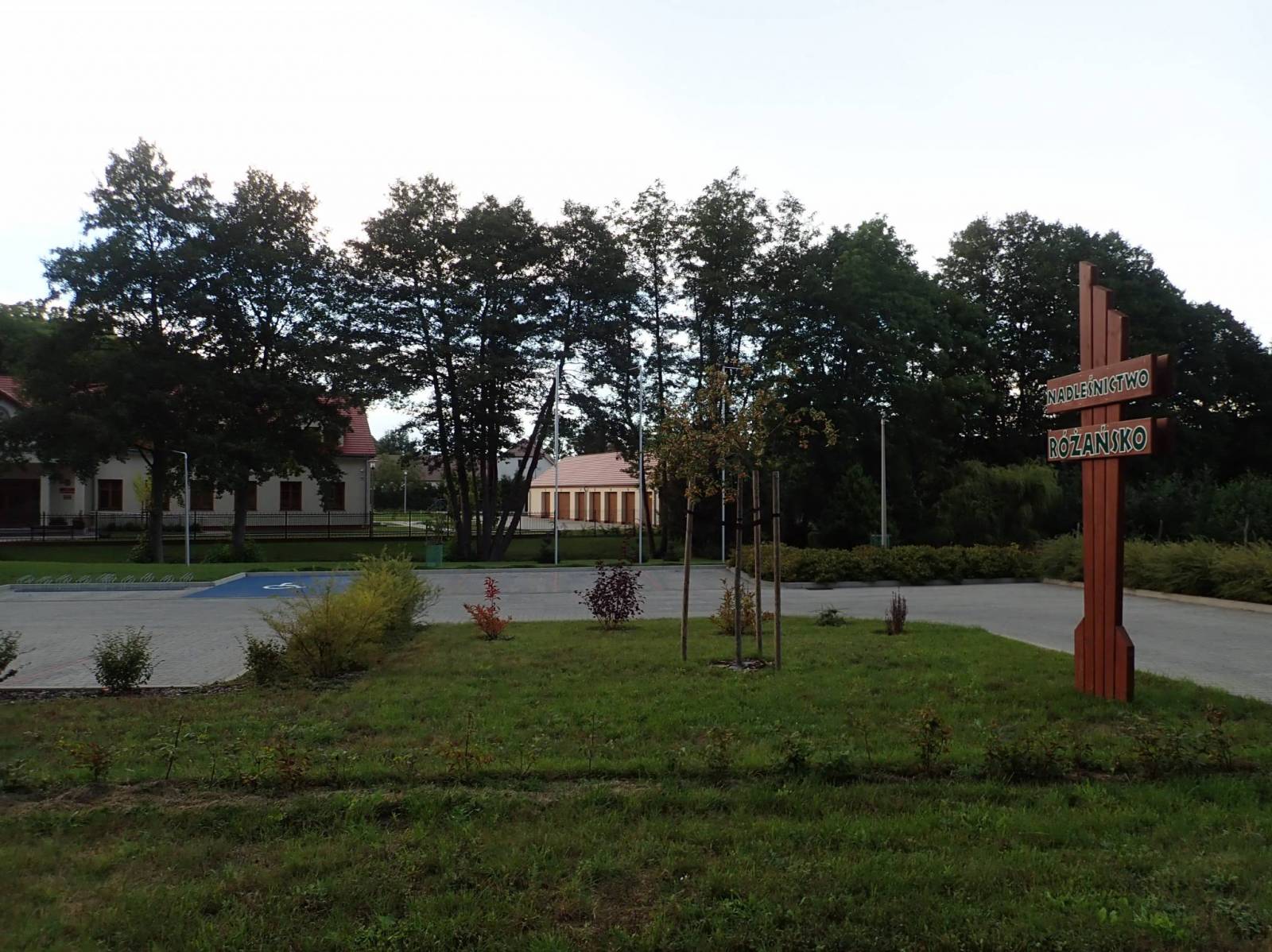 Zdjęcie 6