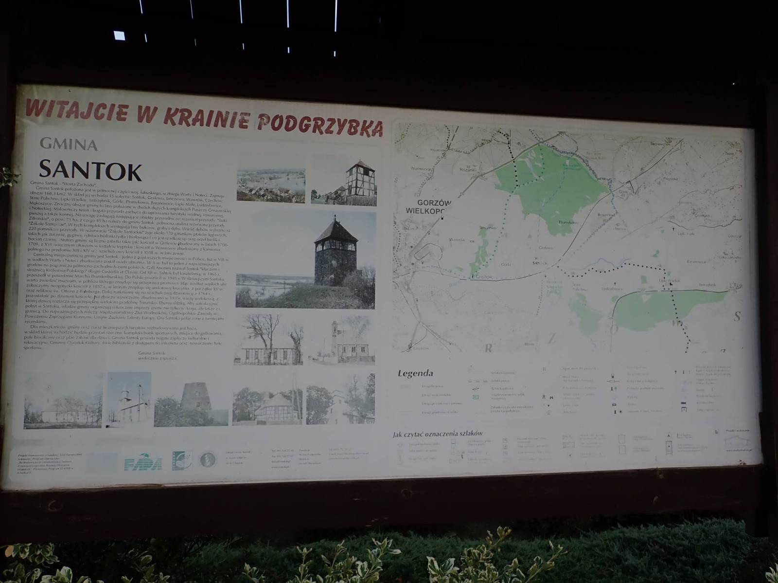 Zdjęcie 6