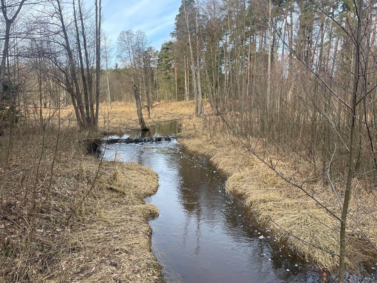 Zdjęcie 3
