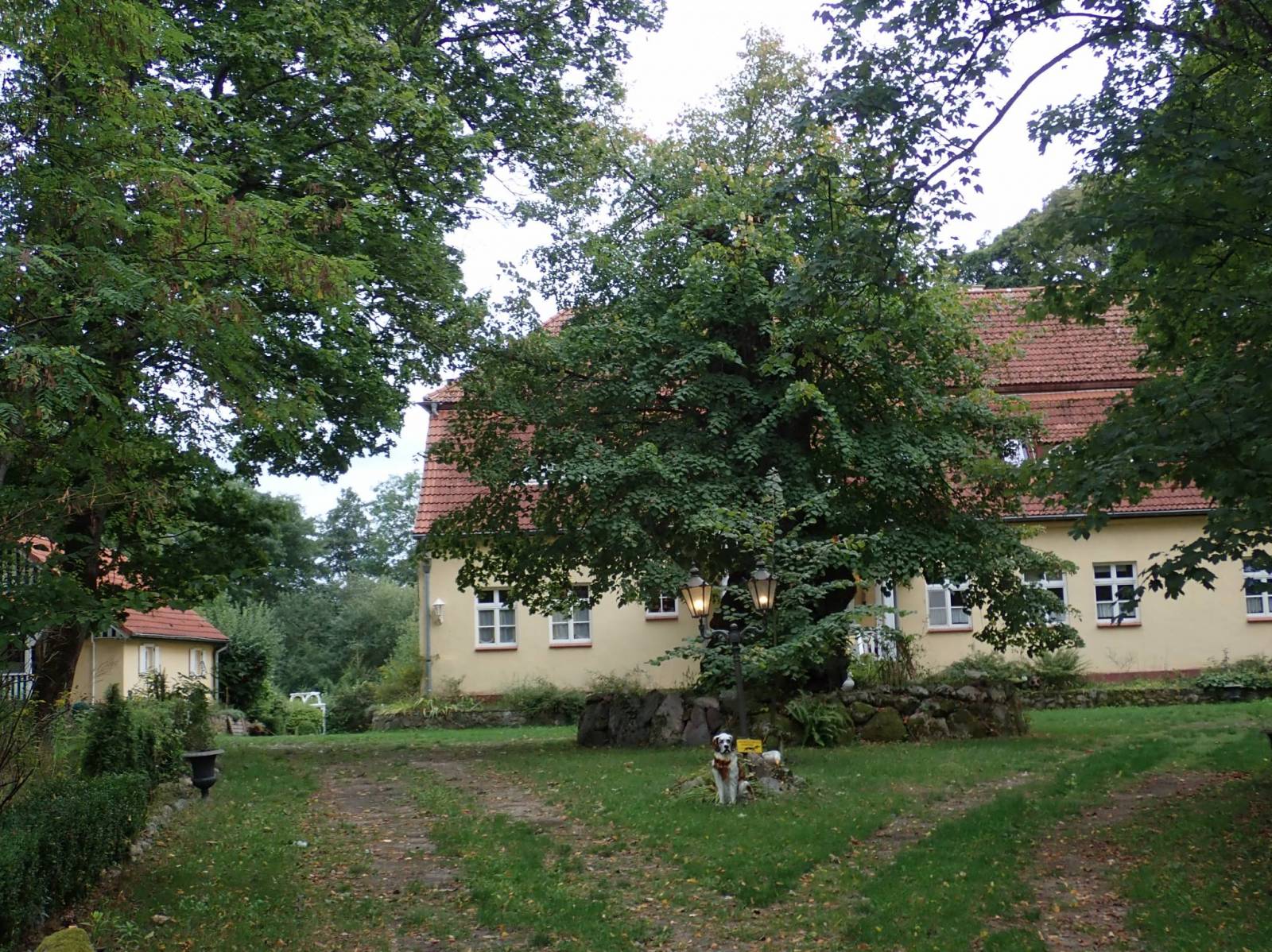 Zdjęcie 6