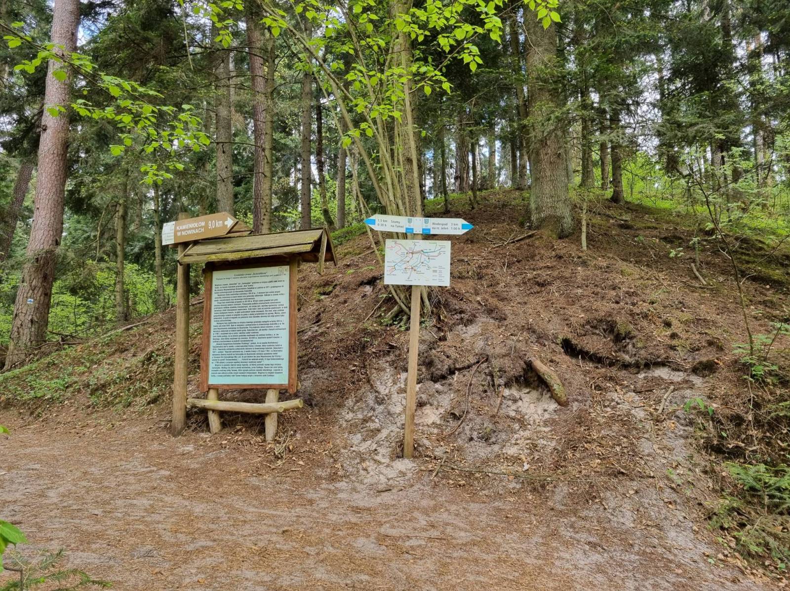 Zdjęcie 6