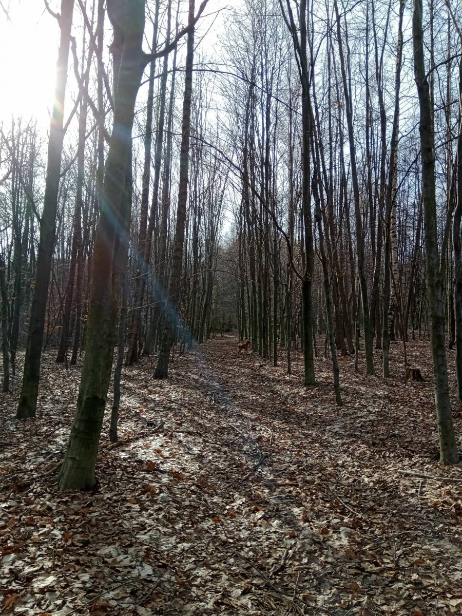 Zdjęcie 3