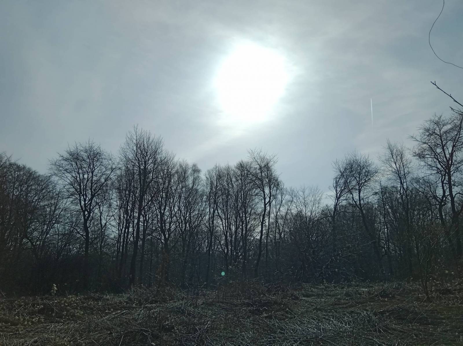 Zdjęcie 4