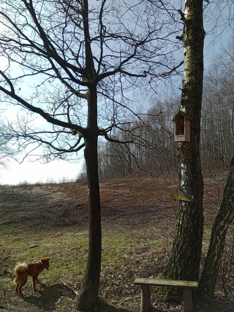Zdjęcie 5