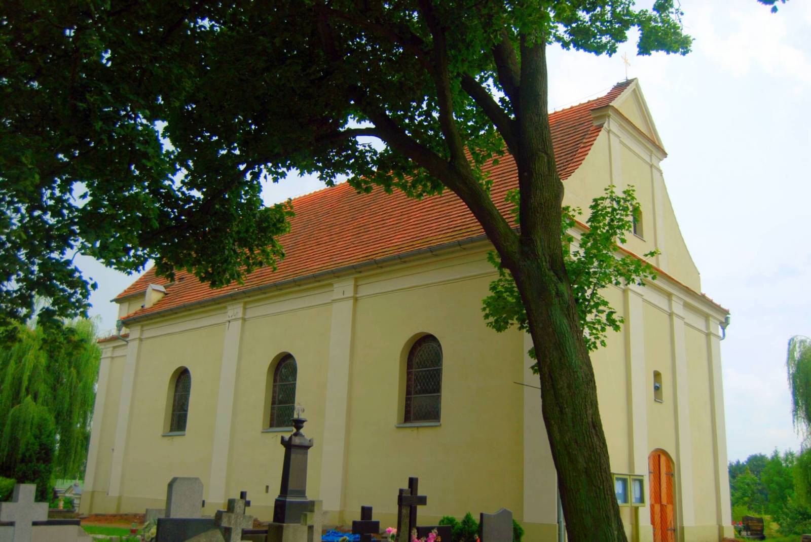 Zdjęcie 5