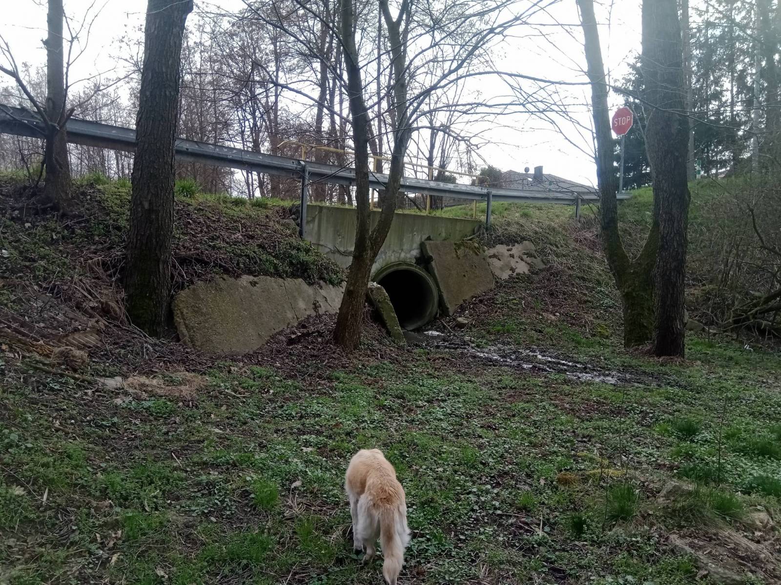 Zdjęcie 4